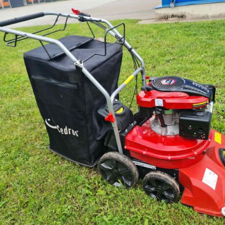 Cedrus 4 in 1 LEHEIMUR CEDLV58S (RENT)