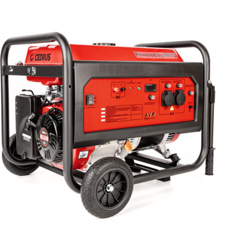 Elektrigeneraator Cedrus 5.5 kW R390
