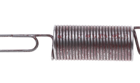 Governor spring B&S QUANTUM