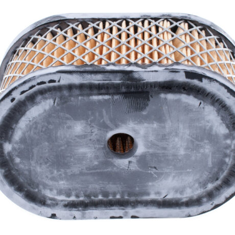 Õhufilter B&S mudel Europe OHV mootori vertikaalne võll