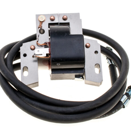 Ignition module B&S for boxer engines