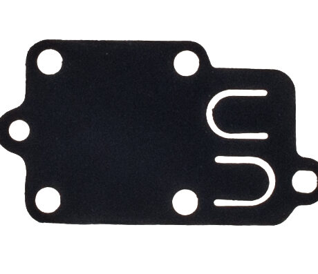 Diaphragm B&S 3 - 5HP