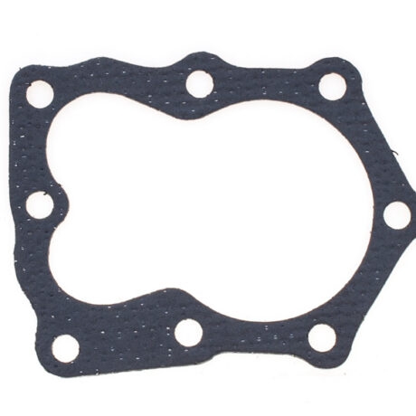 Silindripea tihend B&S Quantum vana tüüp