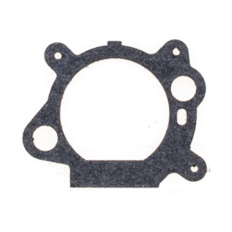 Intake manifold gasket B&S Quantum