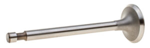 Intake valve Honda G200