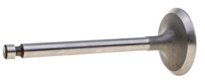 Intake valve Yanmar L60