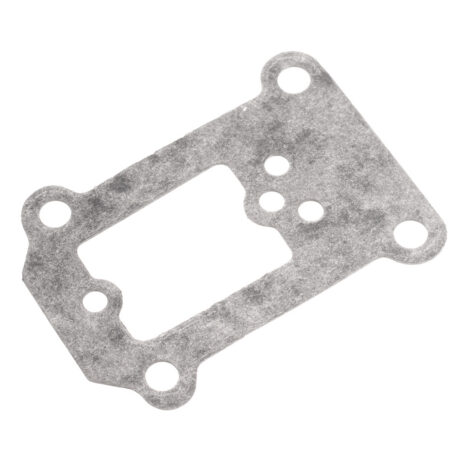 Throttle gasket Dolpima PS490