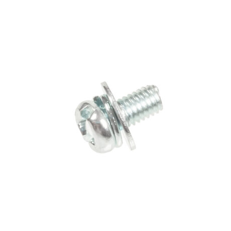 Carburetor choke valve screw C1Q-EL