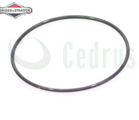 Float bowl gasket B&S Intek V-Twin series 7000 8000 ORIGINAL PART