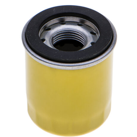 Oil filter B&S Intek replacing 798319 ORIGINAL PART