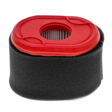 Air filter B&S series 550 ORIGINAL PART