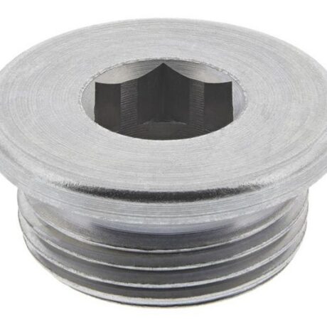 Õlikork M22x1,5 WHT005282 tihendita