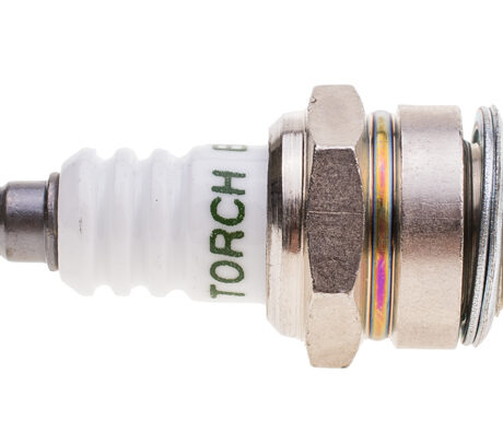 Süüteküünal Cedrus hekkikäärid NZ01