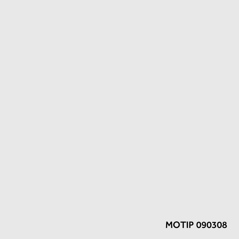S113-090308-2