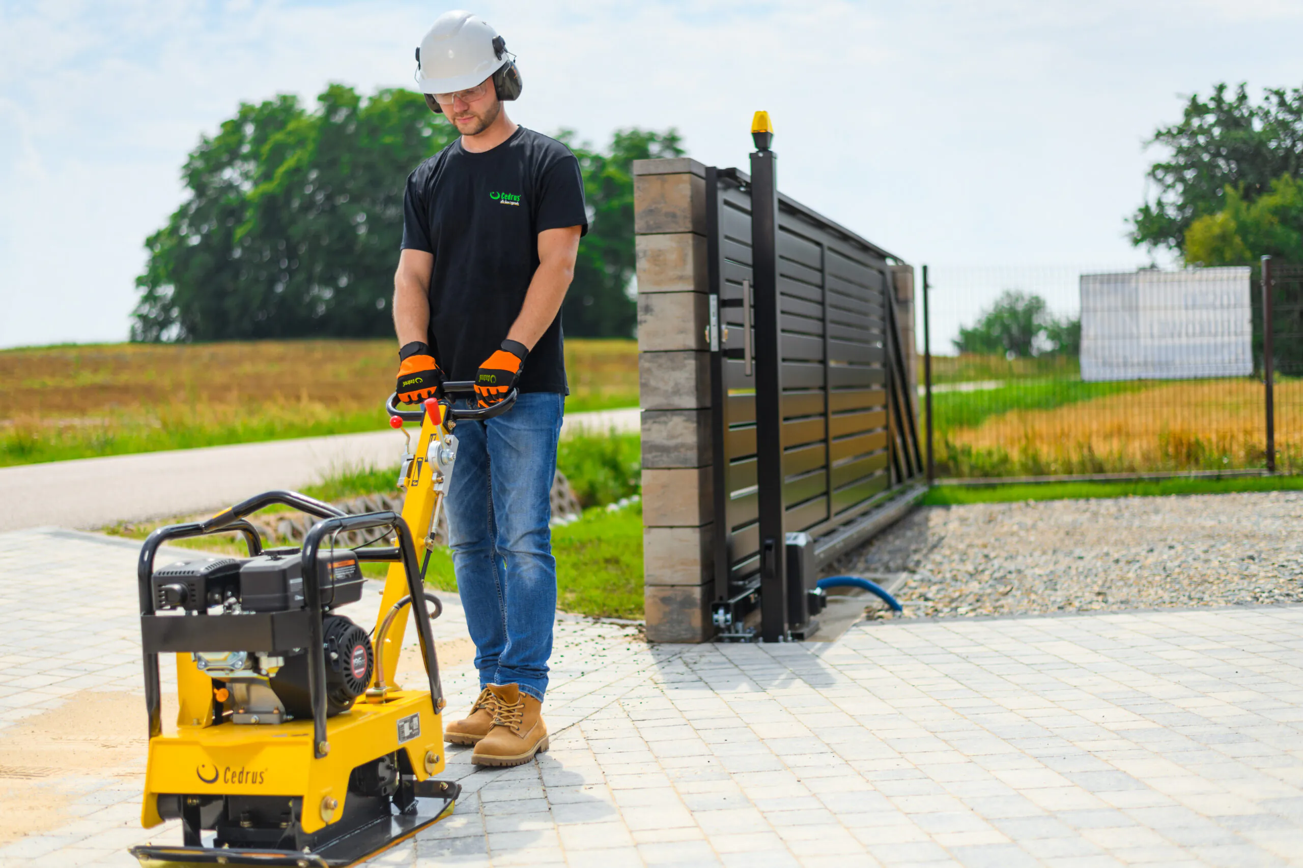 Cedrus pinnasetihendaja CEDZG06 (25kn) - Image 6