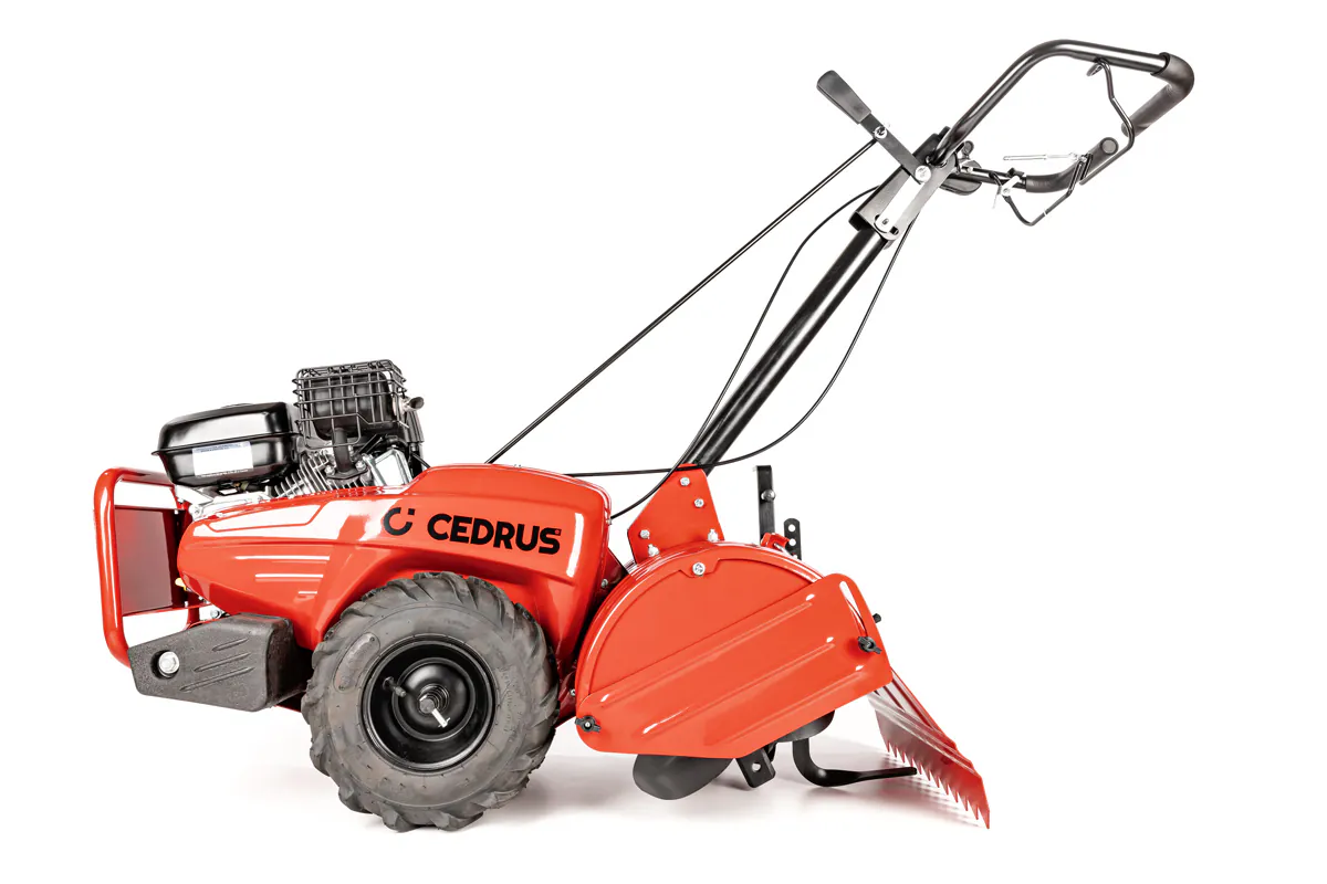 Cedrus mullafrees CEDRUSGL03PRO-B&S - Image 7