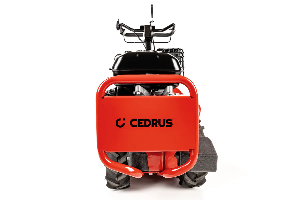Cedrus mullafrees CEDRUSGL03PRO-B&S - Image 14