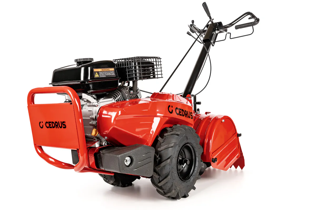 Cedrus mullafrees CEDRUSGL03PRO-LC Cedrus mullafrees CEDRUSGL03PRO-LC