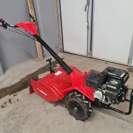 Cedrus mullafrees CEDRUSGLX-GT65-2L (Kasutatud)