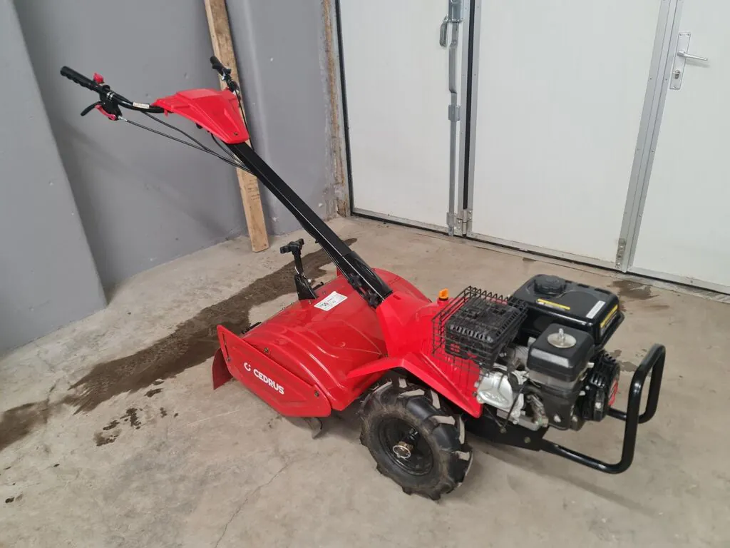 Cedrus mullafrees CEDRUSGLX-GT65-2L (Kasutatud)