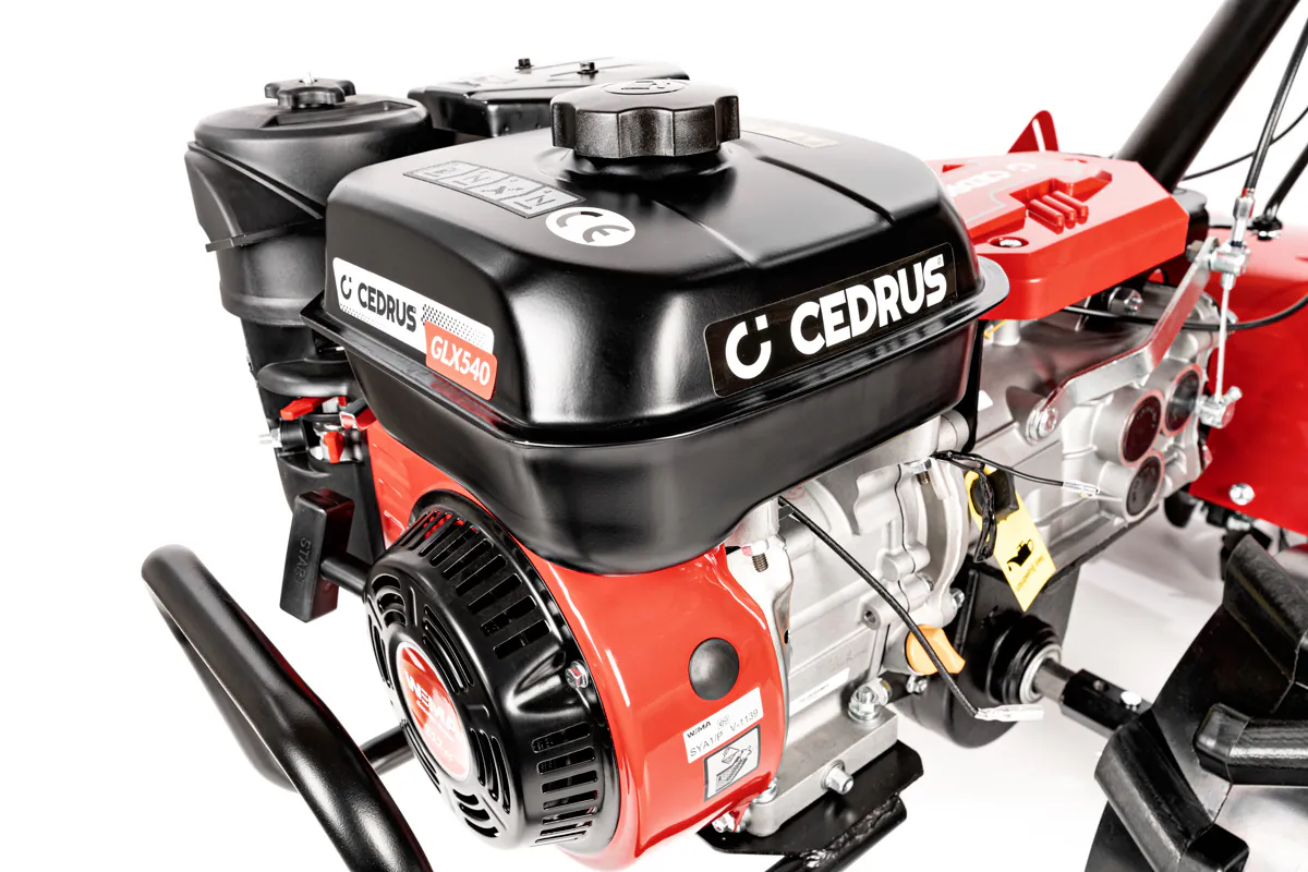 Cedrus mullafrees GLX540 - Image 10