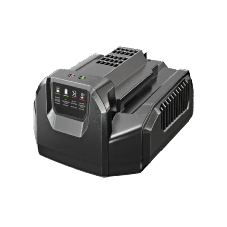 EGO STANDARDLAADIJA 210W CH2100E