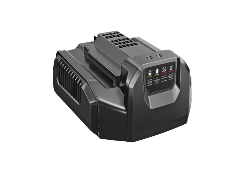 EGO STANDARDLAADIJA 210W CH2100E