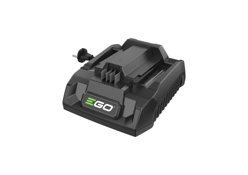 EGO STANDARDLAADIJA 320W CH3200E