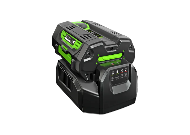 EGO STANDARDLAADIJA 210W CH2100E