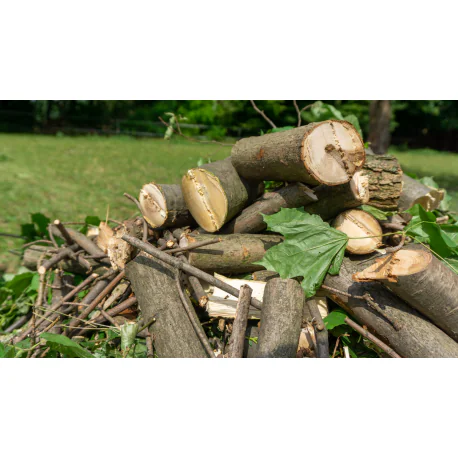 Bensiinimootoriga puiduhakkur RS-100