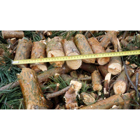 Bensiinimootoriga puiduhakkur RS-80