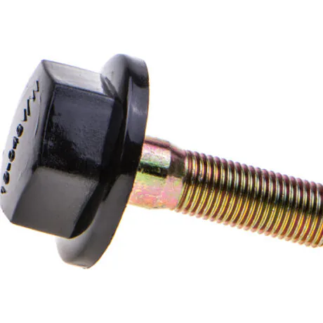 Terakinnitus Castel Garden Kiwi Bingo