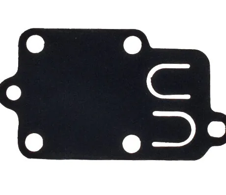 Diaphragm B&S 3 - 5HP