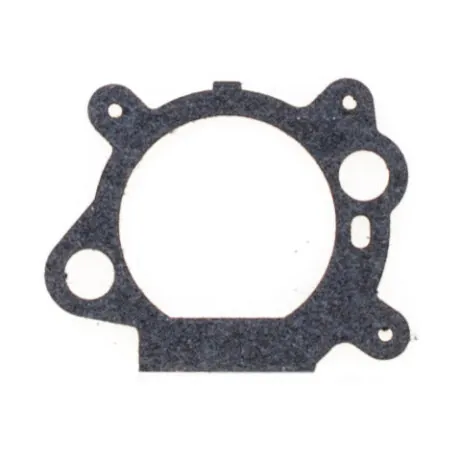 Intake manifold gasket B&S Quantum