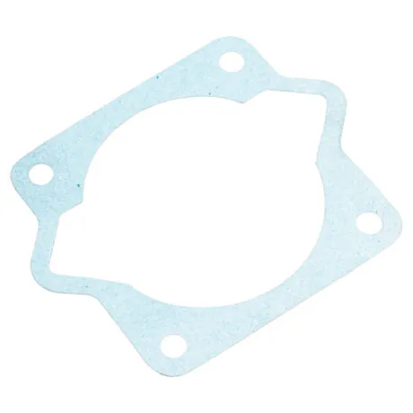 Cylinder head gasket Dolpima PS490