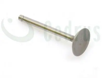 Intake valve Robin EX17 ORIGINAL PART
