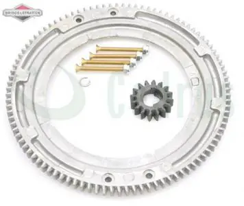 Gear ring B&S ORIGINAL PART