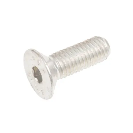 Screw 10x33 base BIO400