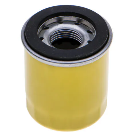 Oil filter B&S Intek replacing 798319 ORIGINAL PART