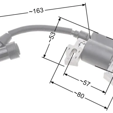 Ignition module NAC T375 T475 T575 lawn mowers available in DIY stores