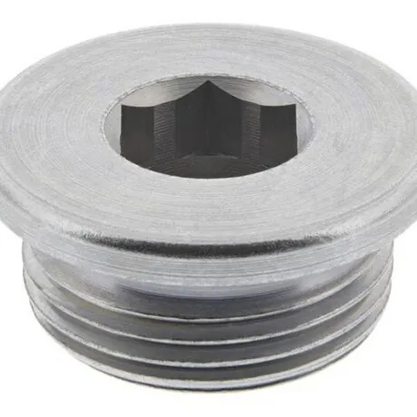 Õlikork M22x1,5 WHT005282 tihendita